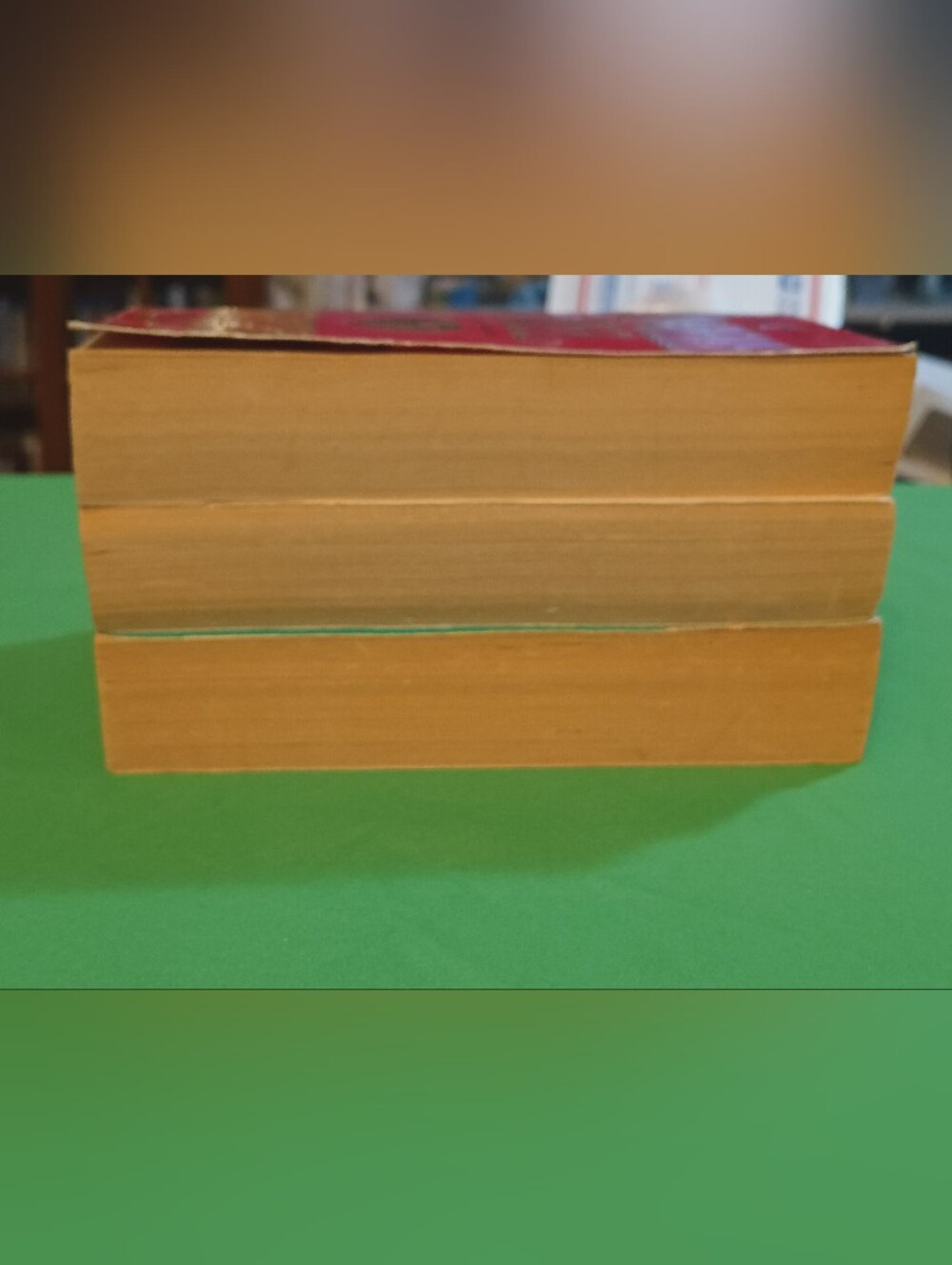 𝐃𝐀𝐍𝐈𝐄𝐋𝐋𝐄 𝐒𝐓𝐄𝐄𝐋 𝐀𝐌𝐄𝐑𝐈𝐂𝐀'𝐒 #1 𝐁𝐄𝐒𝐓𝐒𝐄𝐋𝐋𝐄𝐑🟡 - Picture 8 of 17